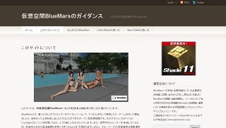 BlueMarsの日本人向けガイダンスサイトがオープン！