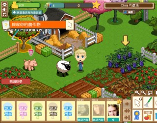 Zyngaの農業ソーシャルゲーム「FarmVille」の中国版があるらしい件